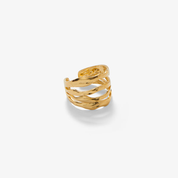 Iracionální zahradní kroužek